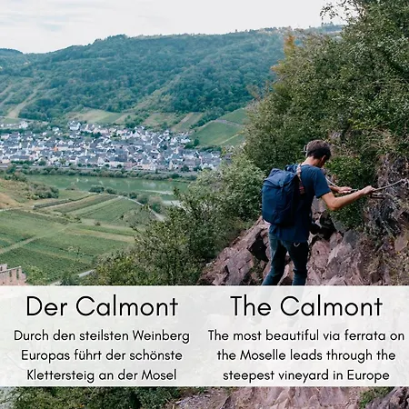 Daire Winzerhaus Am Calmont - Historisches Mosel-refugium *