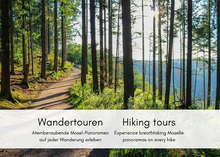 Winzerhaus Am Calmont - Historisches Mosel-refugium