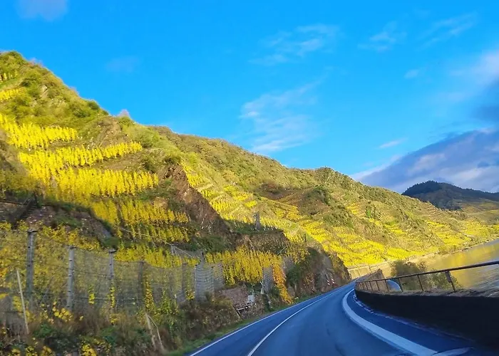 Winzerhaus Am Calmont - Historisches Mosel-refugium